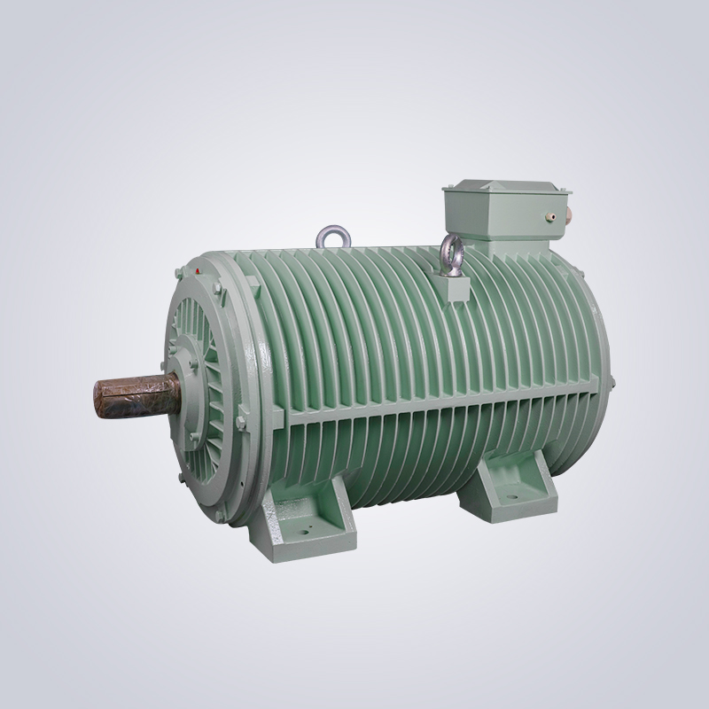 YGP系列輥道變頻調速三相異步電動機